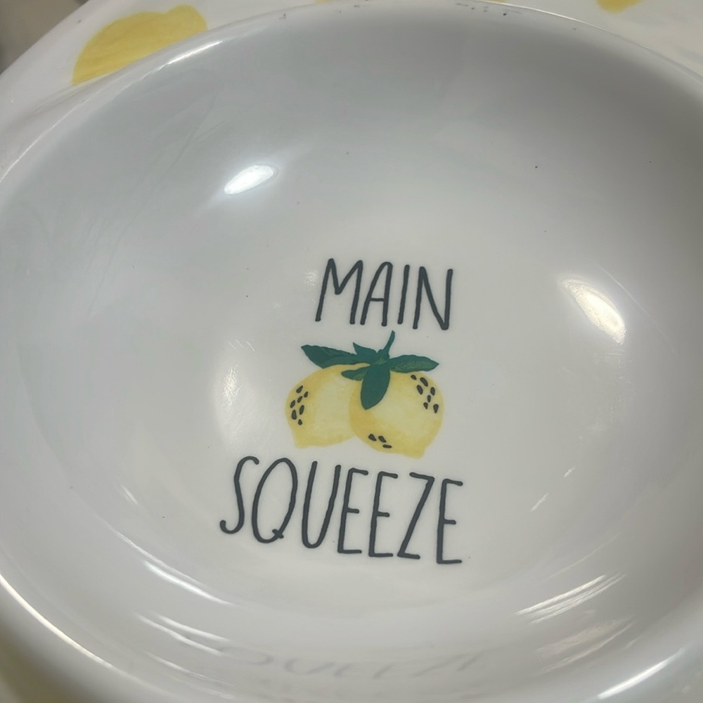 Chip/Dip Bowl Serving Bowl.  Diameter 14".